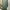 Pakaian Nasional Maxi Dress Wanita Green