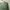 Pakaian Nasional Maxi Dress Wanita Green