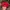 Vintage Harley Davidson Girl Flame Hat photo 7