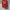 Nike Arsenal photo 1