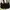 Prada Luxury Casual Handbag Wanita black photo 6