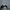Nike Jordan Low Panda photo 1
