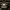 Chanel Luxury Handbag Wanita black photo 7