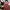 Red Shirt Ruffle Neckline