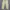 Dickies 873 Slim Straight Khakis Longpant photo 1