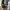 EXR Gorpcore Track jacket Pria green black gray photo 5