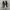 Converse Chuck Taylor All Star 70S Low Black White photo 3