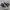 Converse Chuck Taylor All Star 70S High Black White photo 3