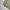Jill Stuart Vintage Sweater Pria white gray photo 5