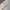 The Best Jeans Streetwear Vintage Sweater Pria white black photo 6