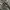 2004s Levis 517-09 Bootcut Leg, Factory Codes J22 (Japan) photo 8