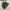 Jacket military camo paratropper smock denison ww2  early photo 7