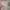 A Pink Floral Coquette Cottagecore Summer Milkmaid Dress