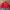 Vtv Ellese trisulate jacket photo 1