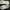 Under Armour Sportswear Sneakers Wanita gray photo 4