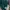 COLORBOX Casual Crop top Wanita green photo 3