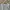 Crewneck Vintage Russell Athletic Cal Poly Alumni San Luis photo 2