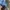 akademiks jorts size 33 photo 10