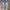 akademiks jorts size 33 photo 4
