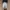akademiks jorts size 33 photo 3