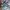 akademiks jorts size 33 photo 6