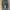 basic grey baggy size 28 photo 5