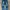 OOTJ blue washed baggy photo 4