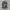 Sealed zadig by voltaire photo 1