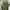 MILITERY JACKET CAMO