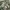 MILITERY JACKET CAMO photo 6