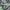MILITERY JACKET CAMO photo 10