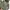 MILITERY JACKET CAMO photo 7
