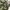 MILITERY JACKET CAMO