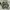 MILITERY JACKET CAMO photo 1
