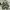 MILITERY JACKET CAMO