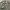MILITERY ARMY Y2k