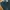 Magic Bee Flare Jeans Boot Cut photo 6