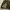 Tenderloin Japan Duck Canvas Embroidery Work Jacket photo 7