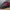 Diadora Sportswear Pria red black photo 4