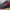 Diadora Sportswear Pria red black photo 5
