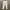 Uniqlo Women Ankle Pants Trousers White photo 1