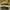 Vans authentic sliver  photo 4