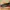 Vans authentic sliver  photo 1