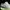 Nike Ja Morant 1 photo 5
