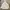 Uniqlo GU Women White Hoodie Oversize photo 1