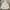 Uniqlo GU Women White Hoodie Oversize