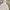 Uniqlo GU Women White Hoodie Oversize photo 2