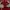 Japanese brand Streetwear Jumper Pria silver red photo 7