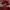 Japanese brand Streetwear Jumper Pria silver red photo 3