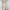 Fairy Coquette Prom Dress Wanita Pink Cream